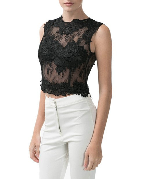 Lace Crop top - Eighty7 Boulevard 